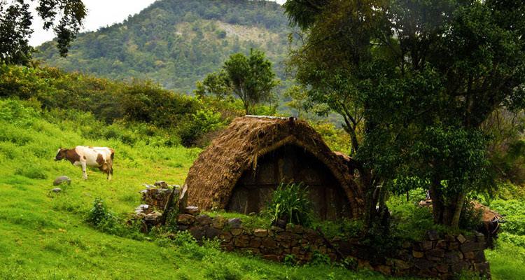 Nilgiri Tour Package Nilgiri Tour Package