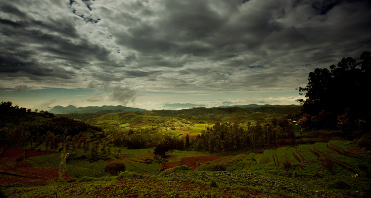 1 Day Ooty Trip from Coimbatore Tour Package with Ketti Valley Viewpoint