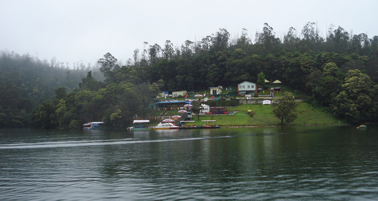 1 Day Ooty Pykara and Mudumalai Tour Local Sightseeing Package