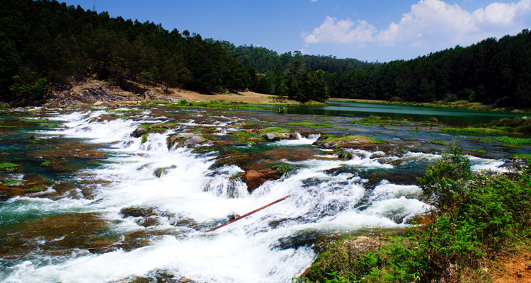 1 Day Ooty Pykara and Mudumalai Tour Local Sightseeing Package with Pykara Waterfalls