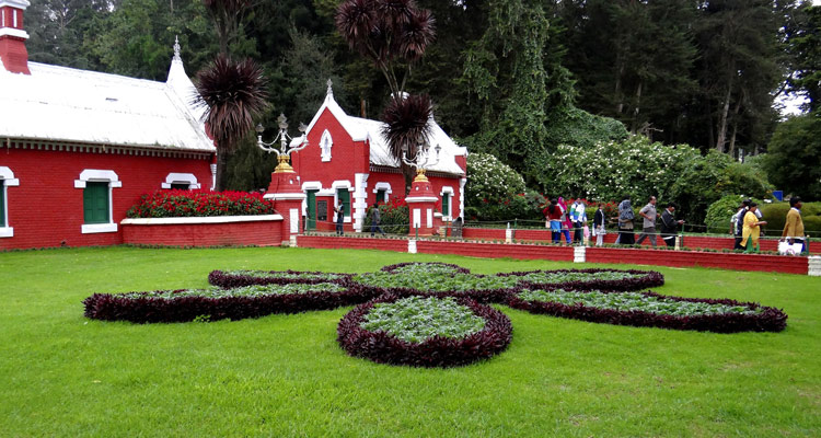 1 Day Ooty Trip from Coimbatore Tour Package with Ooty Botanical Garden