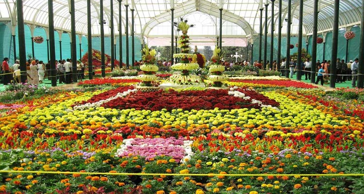 1 Day Ooty Trip from Coimbatore Package with with Ooty Rose Garden
