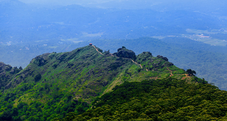 1 Day Ooty Trip from Mysore Tour Package with Needle Rock View Point