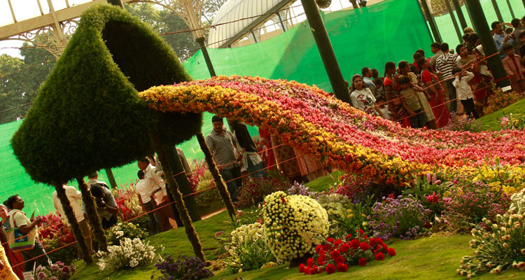 1 Day Ooty Trip from Mysore Tour Package with Ooty Rose Garden
