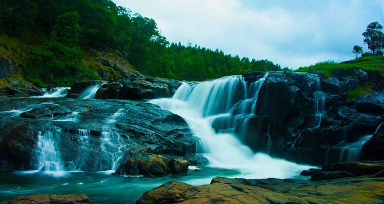 1 Day Ooty Pykara Tour Local Sightseeing Package with Pykara Waterfalls